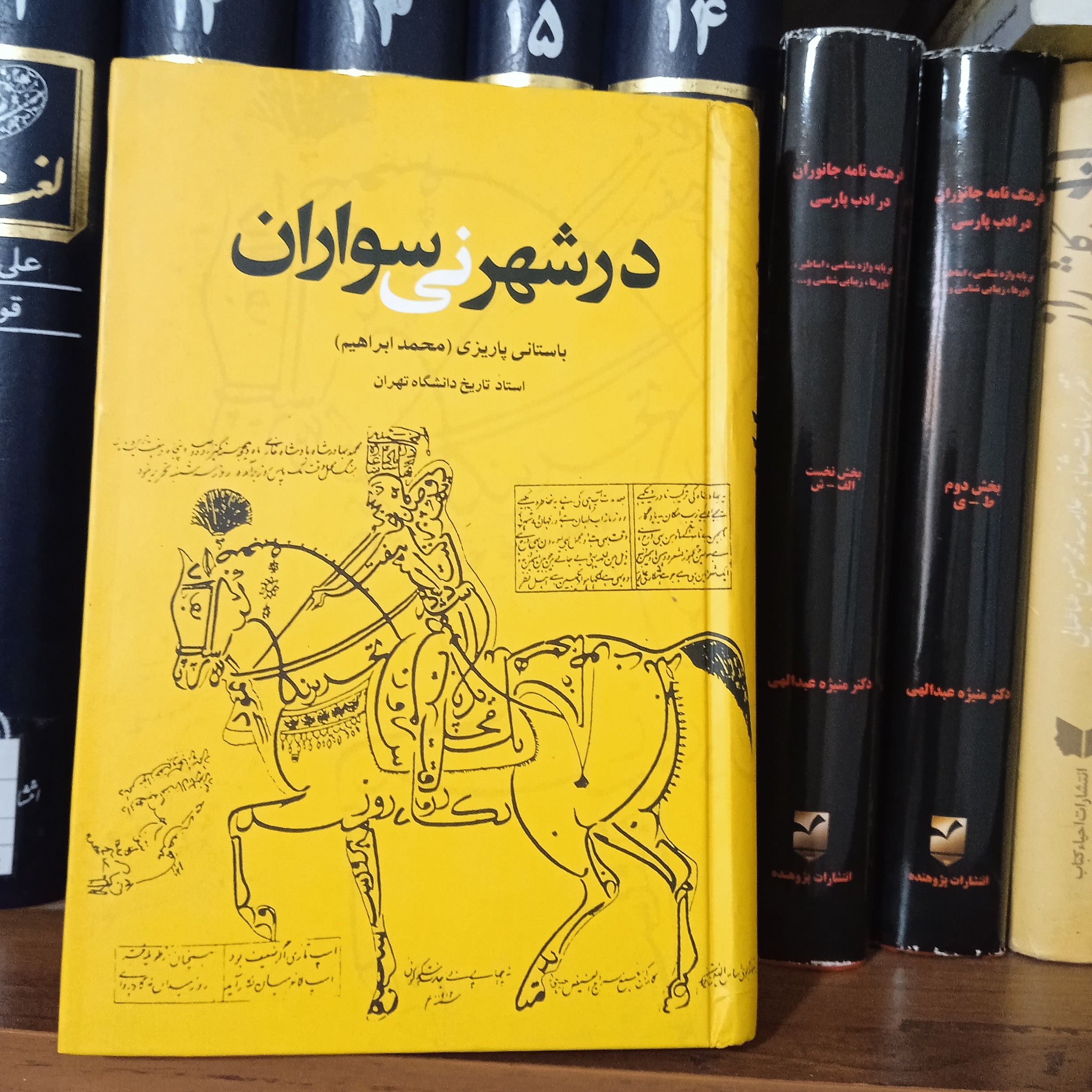 کتاب در شهر نی سواران دکتر باستانی پاریزی 
