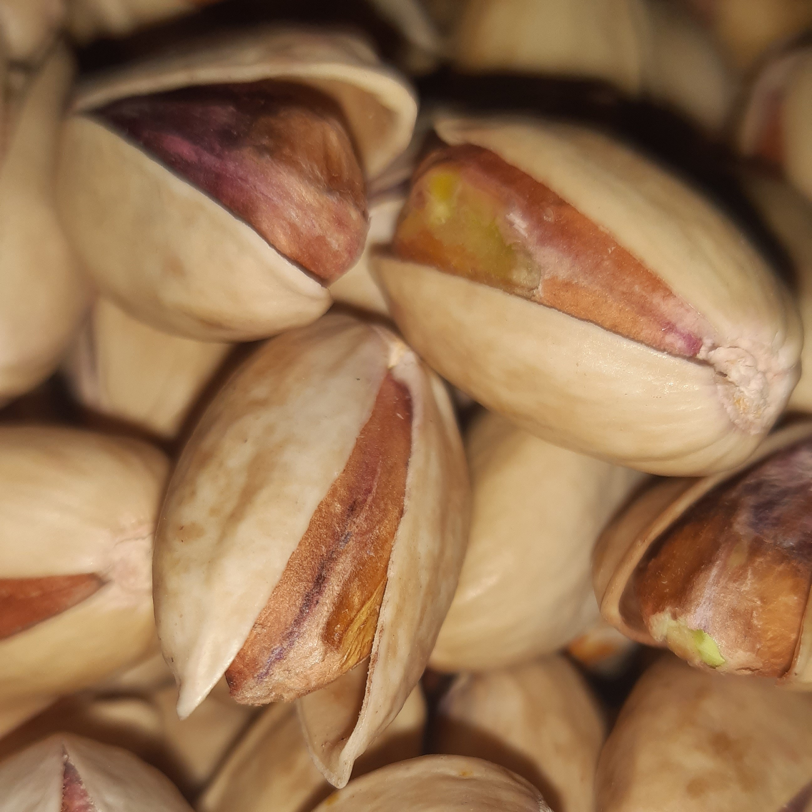 پسته تازه خندان و بسیار با کیفیت  امسالی  در اندازه های  یک کیلو   ، محصول باغ خودمه