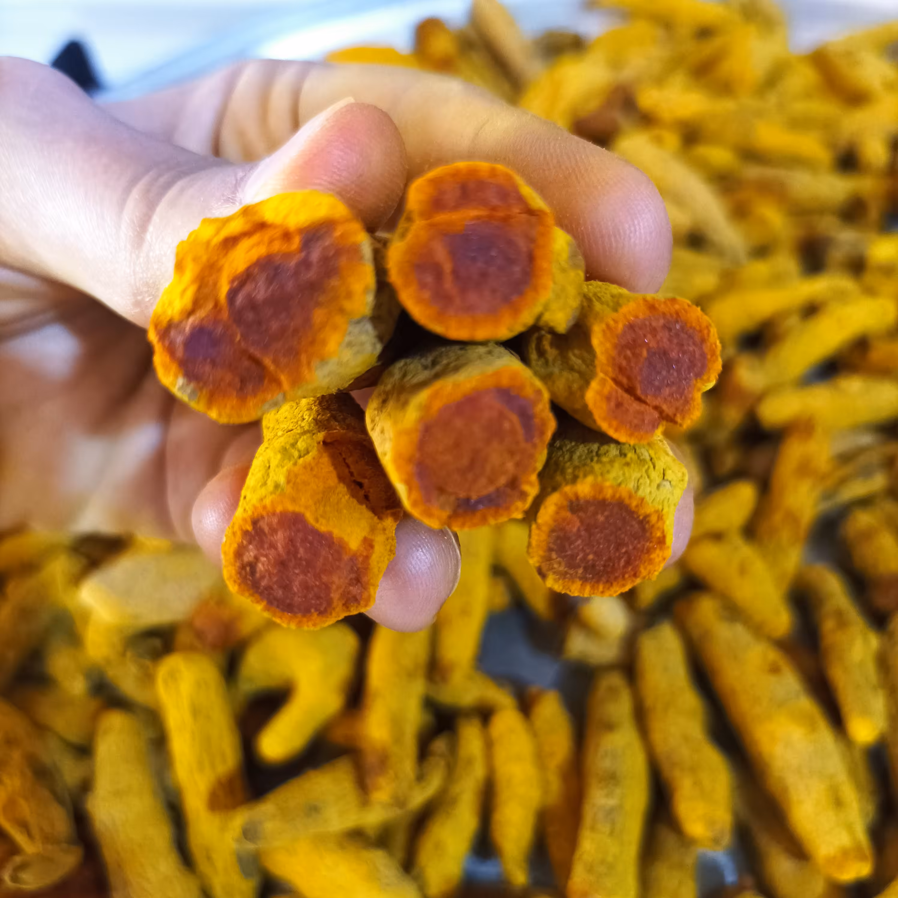 زردچوبه  پرورده