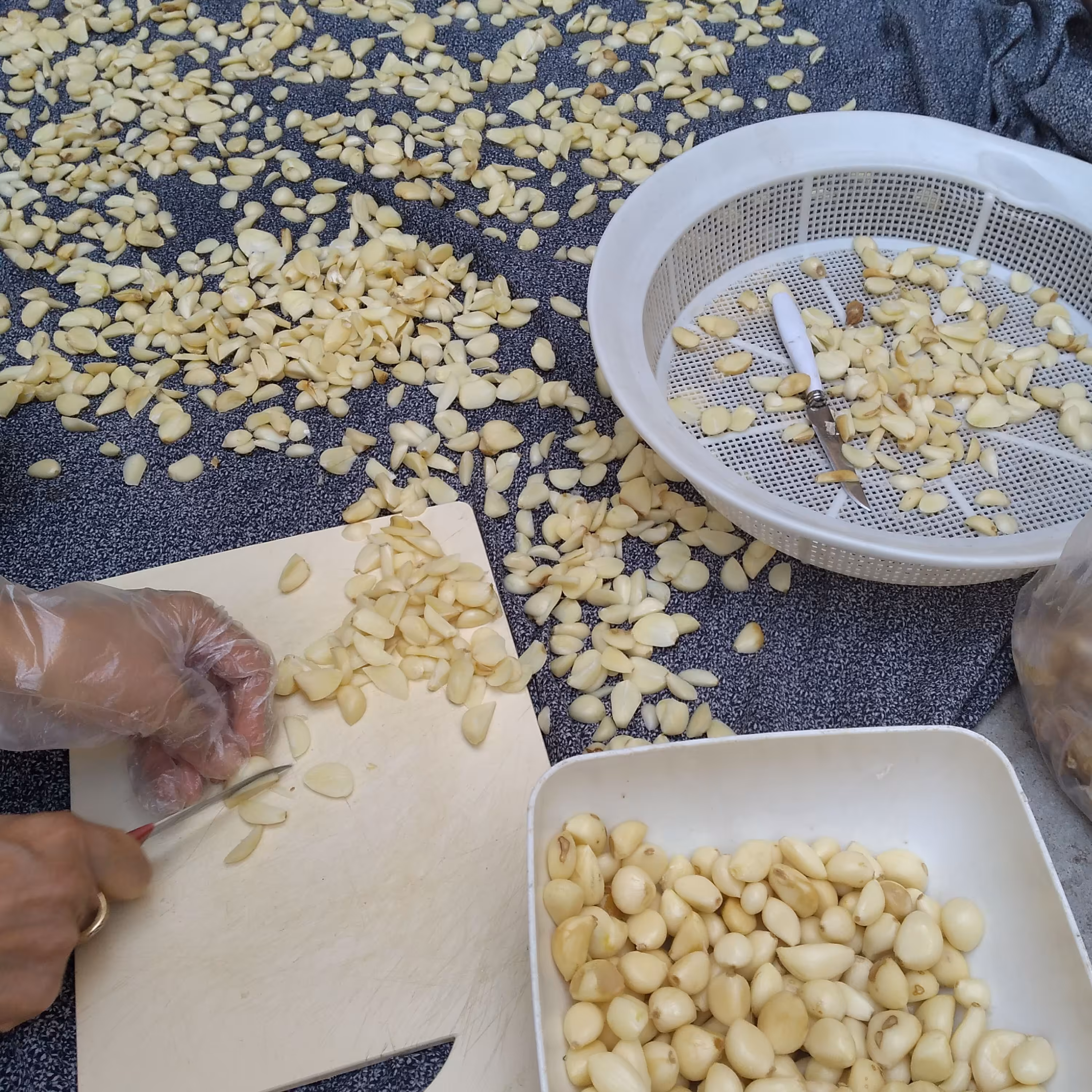 پودر سیر هم اسلایس شده هم پودر شده 50 گرم