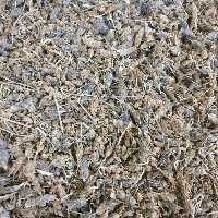 اسطخودوس (استخودوس - اسطوخودوس) هندی - 1 کیلو