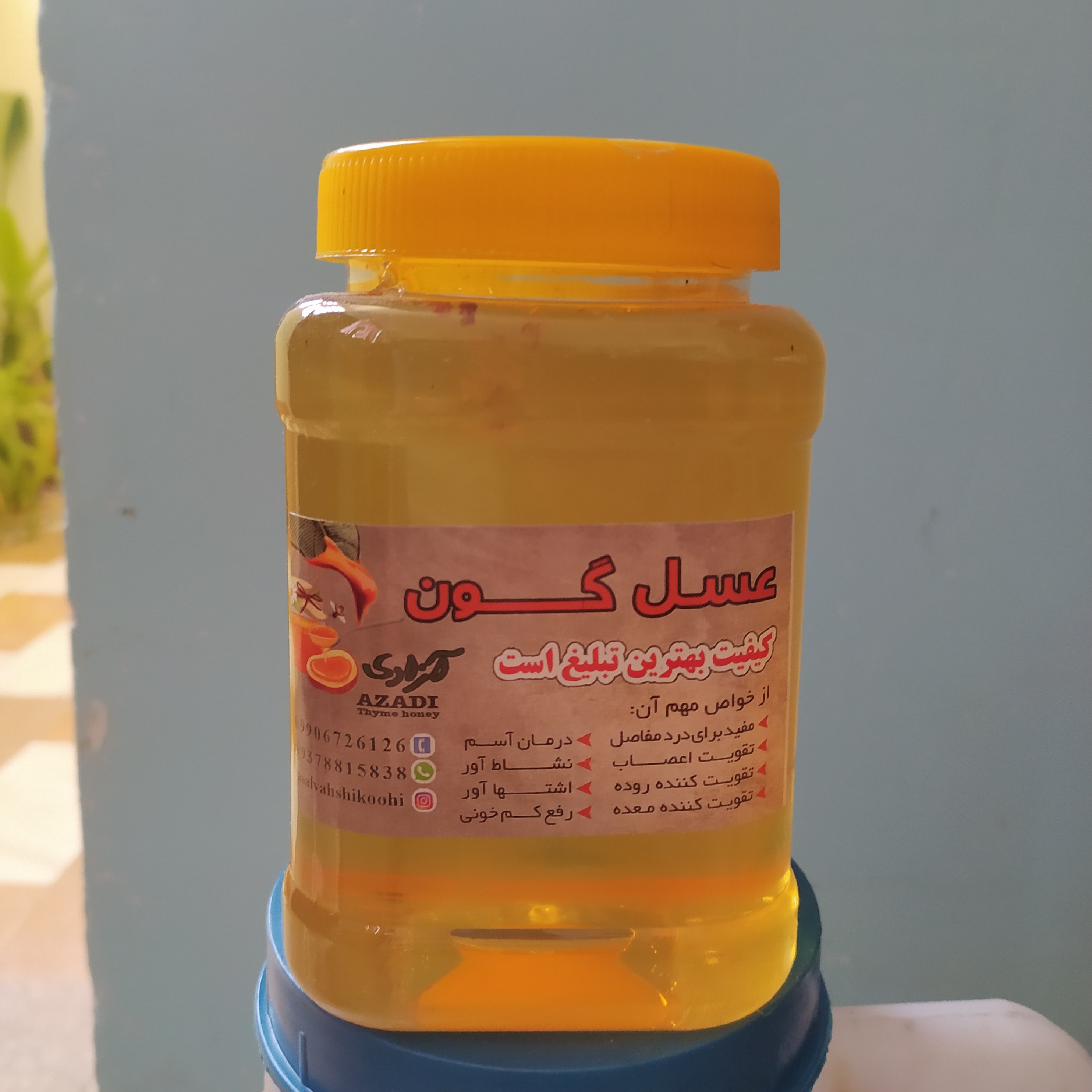 عسل گون معمولی مستقیم از زنبوردار یک کیلوگرم برداشت 1404 ((پلمپ شده ))