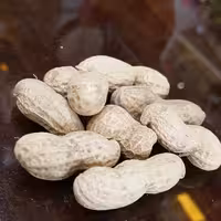 بادام زمینی با پوست خام500گرمی ولی عصر