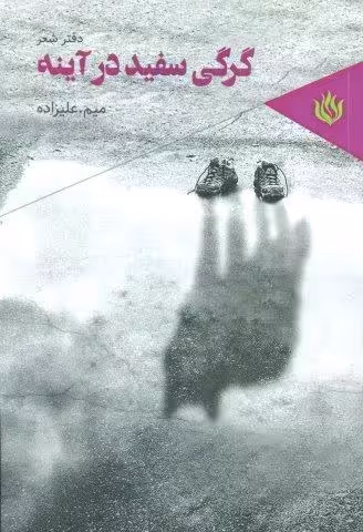گرگی سفید در آینه (دفتر شعر)