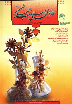 هنرهای دستی نصف جهان 4 (انواع گلهای کریستال)،(گلاسه) - ناشربوک | خرید آنلاین کتاب