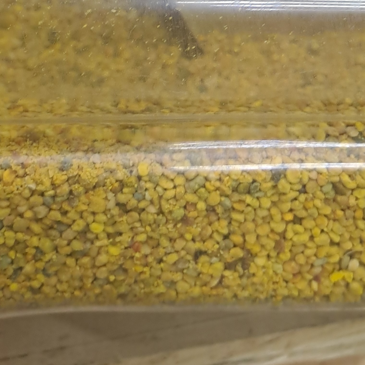 گرده گل تهیه شده از دشت و کوههای استان همدان با بهترین کیفیت برداشت بهار 1402 با دوازده گرده گل متفاوت