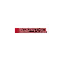 پاستل گچی گالری Light Purple Pink 057