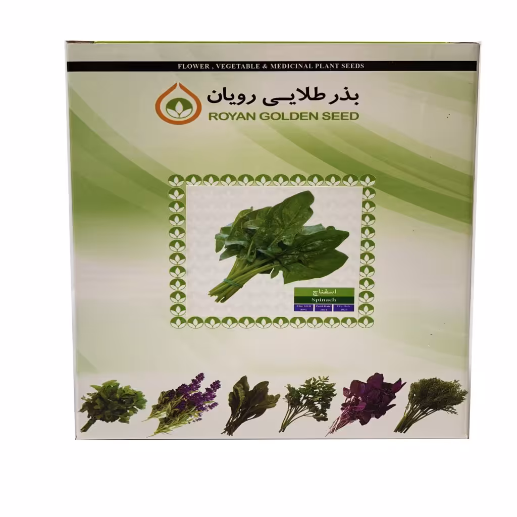 بذر اسفناچ 1 کیلویی - بذر طلایی رویان
