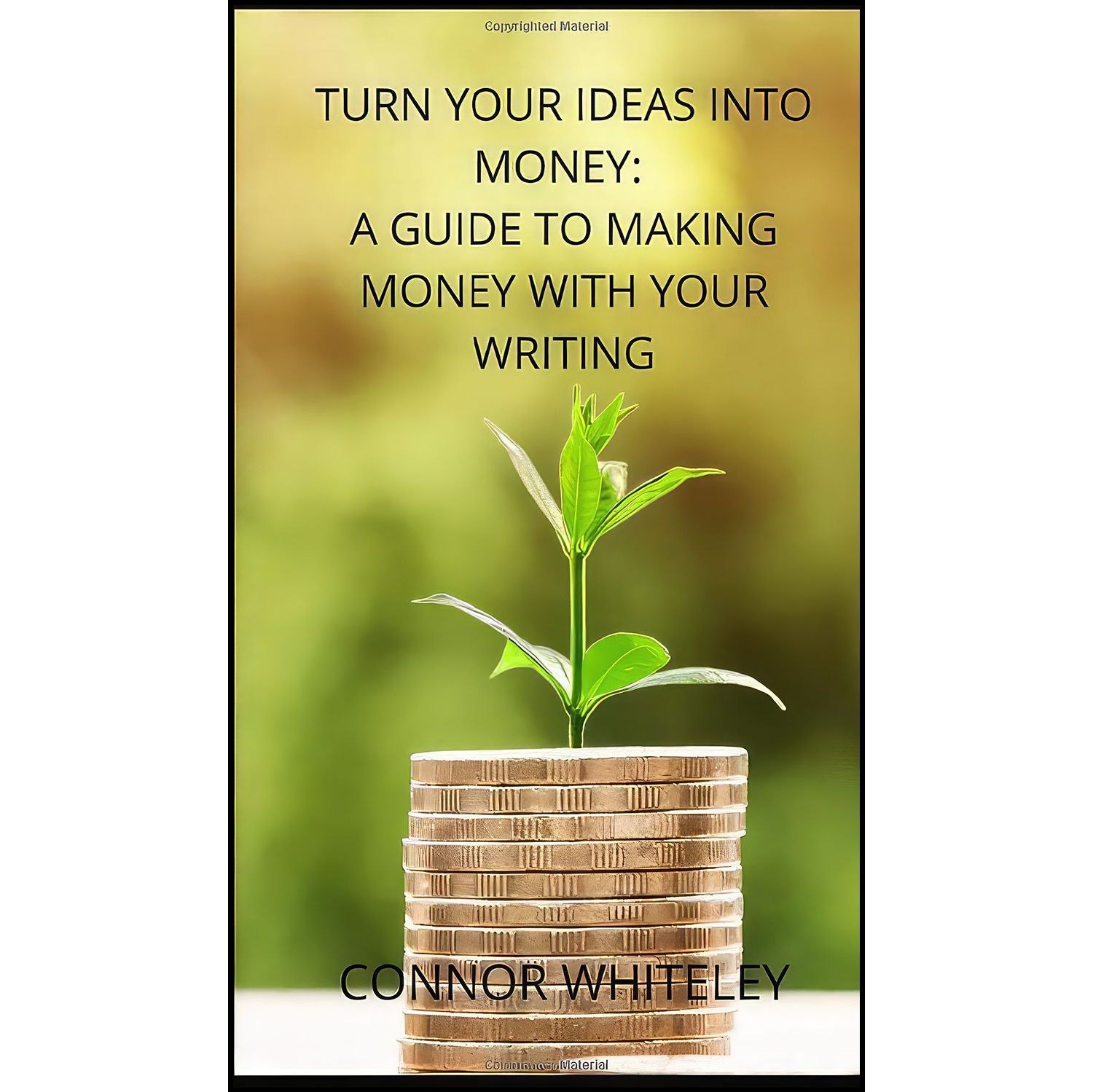 کتاب زبان اصلی Turn Your Ideas Into Money اثر Connor Whiteley