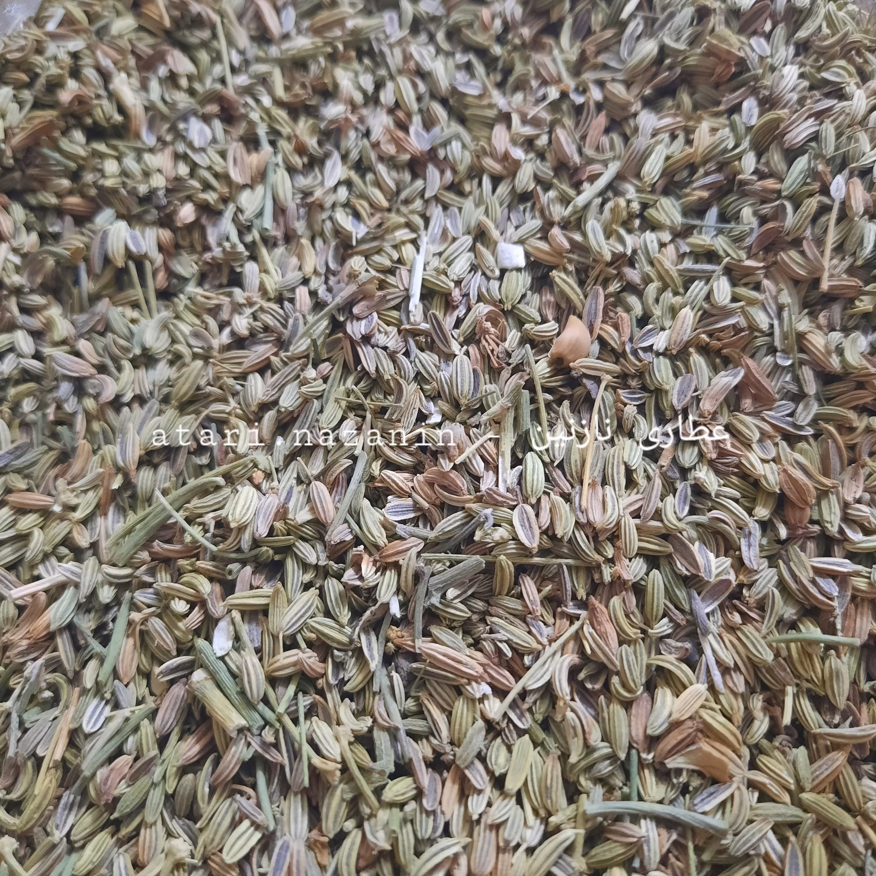 رازیانه 100 گرمی