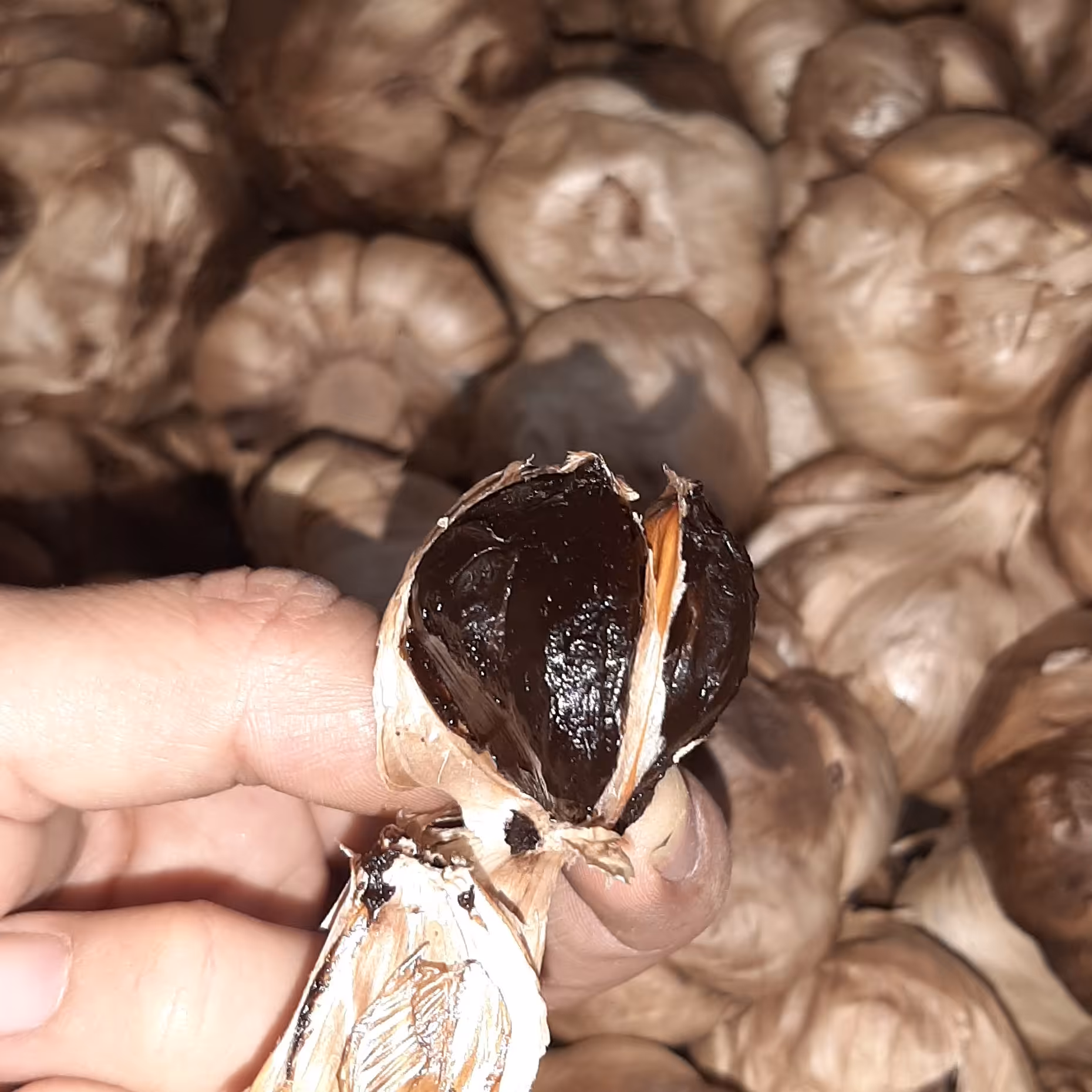 سیر سیاه فله 500گرمی