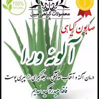 پن گیاهی درمانی آلوئه ورا مبین.