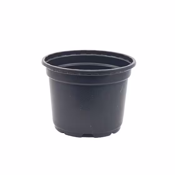 گلدان پلاستیکی ژله ای سایز 10 مشکی مجموعه 100 عددی