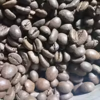 قهوه اسپرسو (اکسترا کافی)