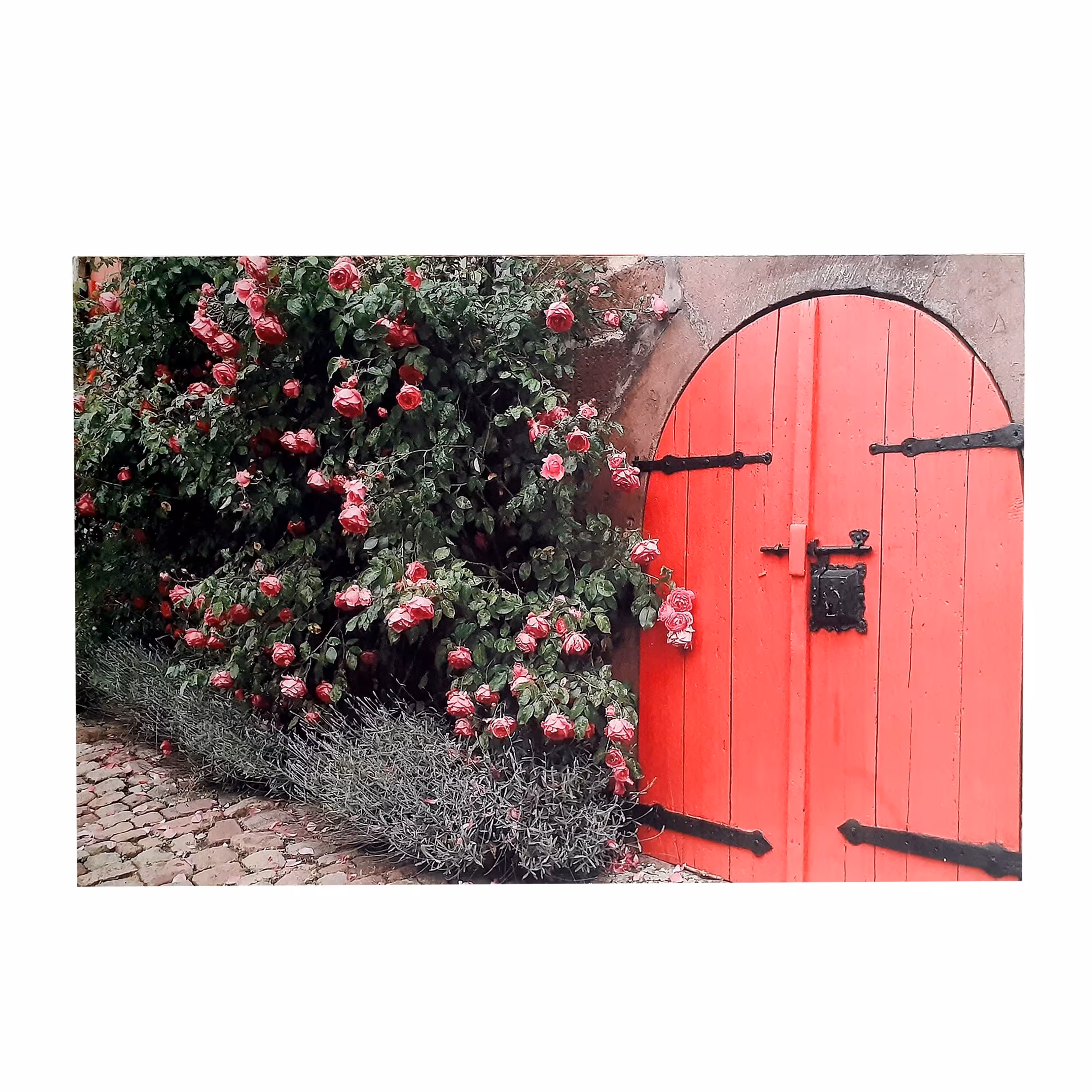 تابلو دکوراتیو مخملی منظره باغ گلهای بهاری 