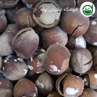 فندق شکسته و برشته نمکی ( 500گرم)