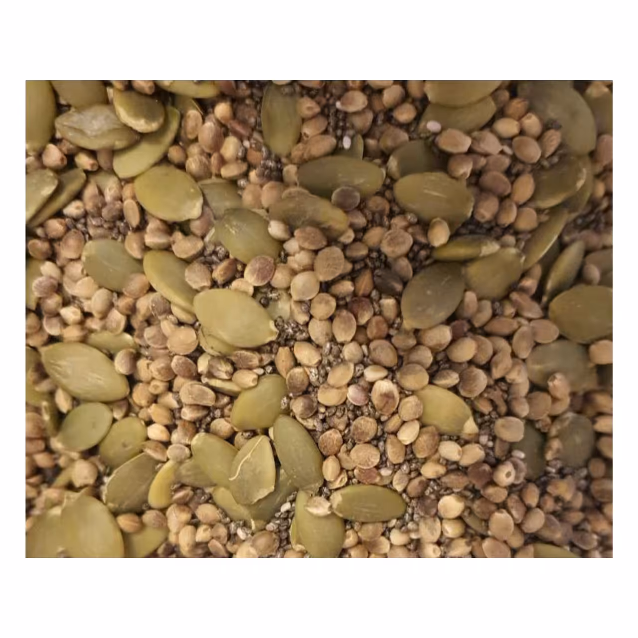 آجیل دانه های گیاهی   نات لاین (300 گرمی)