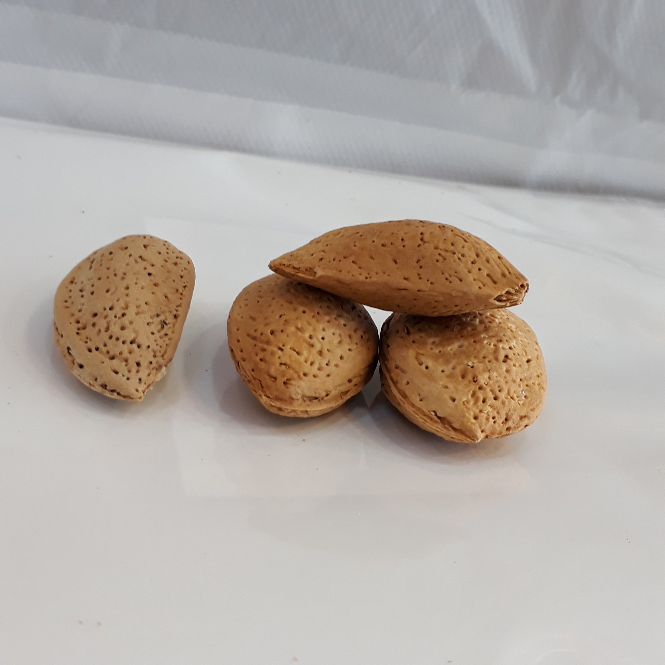 بادام سنگی درختی(محلی)