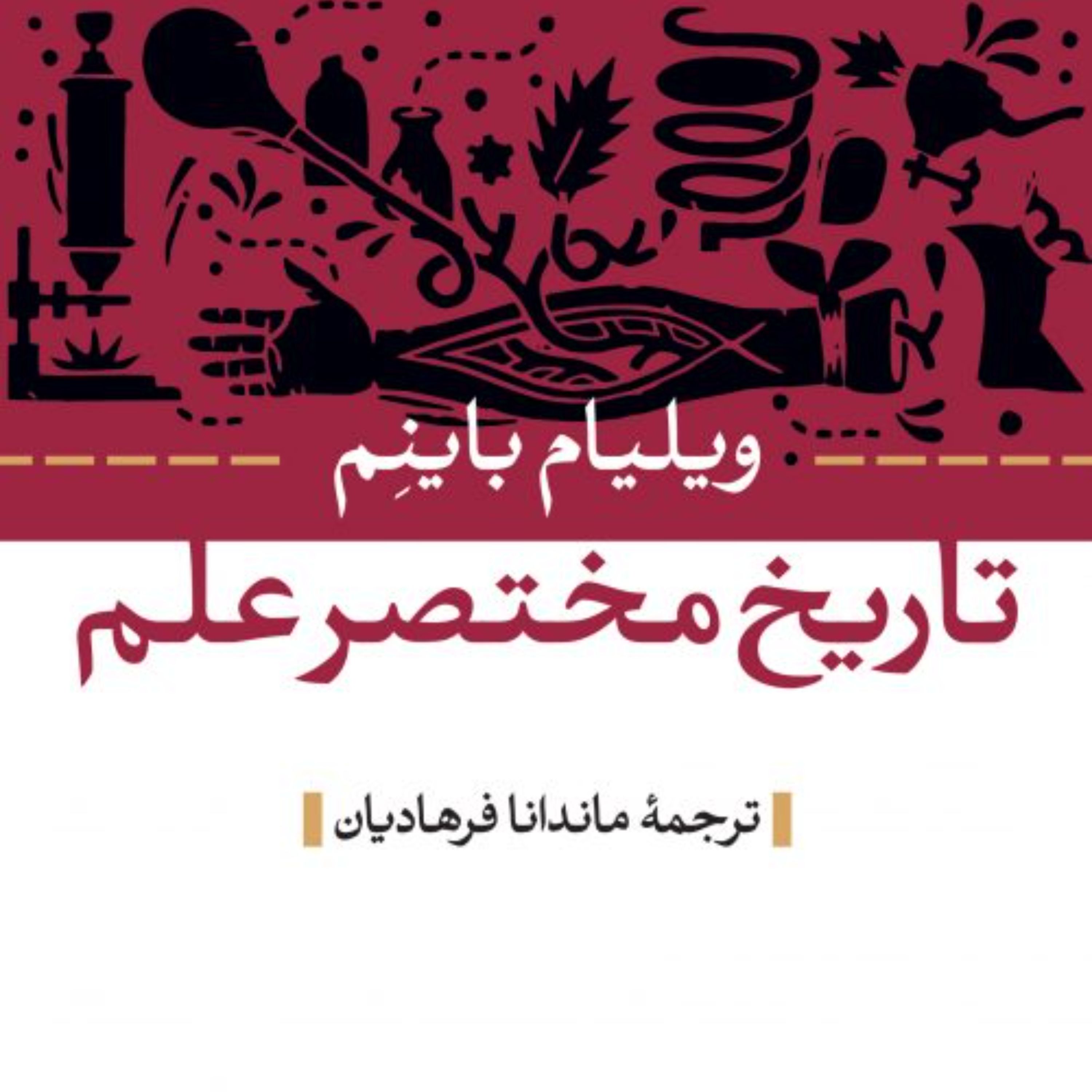 تاریخ مختصر علم - ویلیام باینم مترجم ماندانا فرهادیان - نشر نی