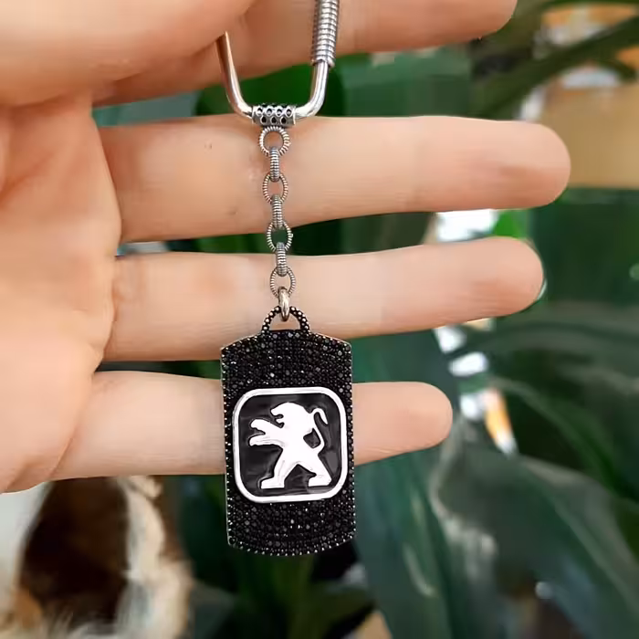 جاسوئیچی نقره مارک پژو