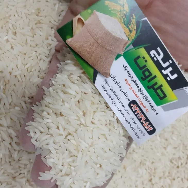 برنج طارم هاشمی امساله دربسته های 10کیلویی ازبرندطراوت صابریان جویبار
