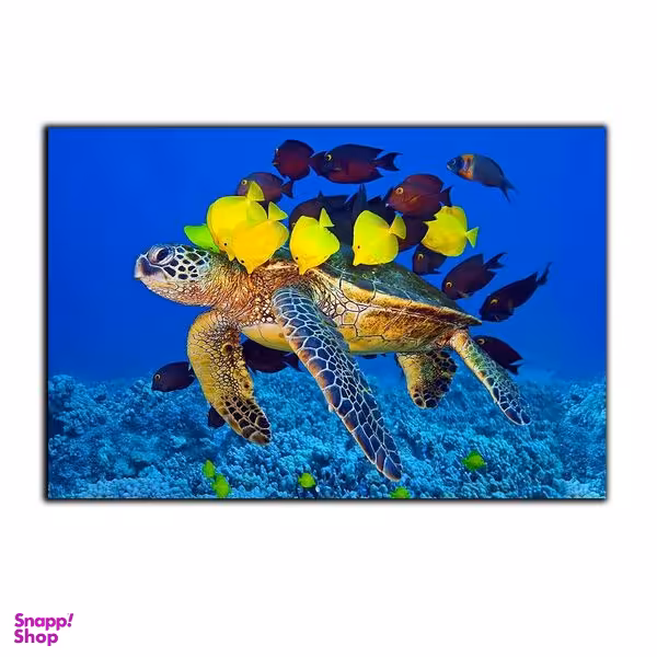 تابلو شاسی بکلیت طرح طبیعت لاکپشت اقیانوس مدل SH-7495