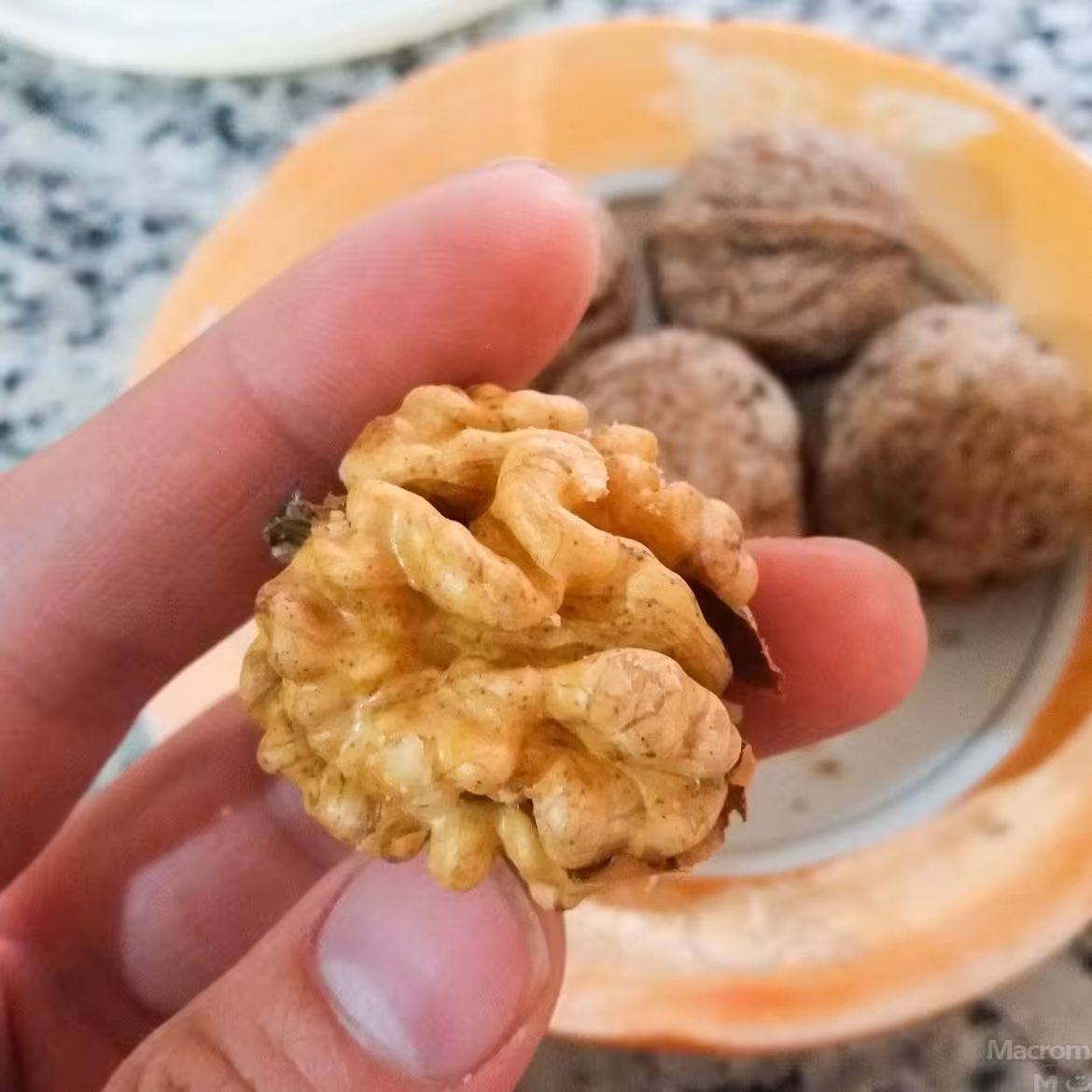 گردوی پوست کاغذی تویسرکان درجه یک 