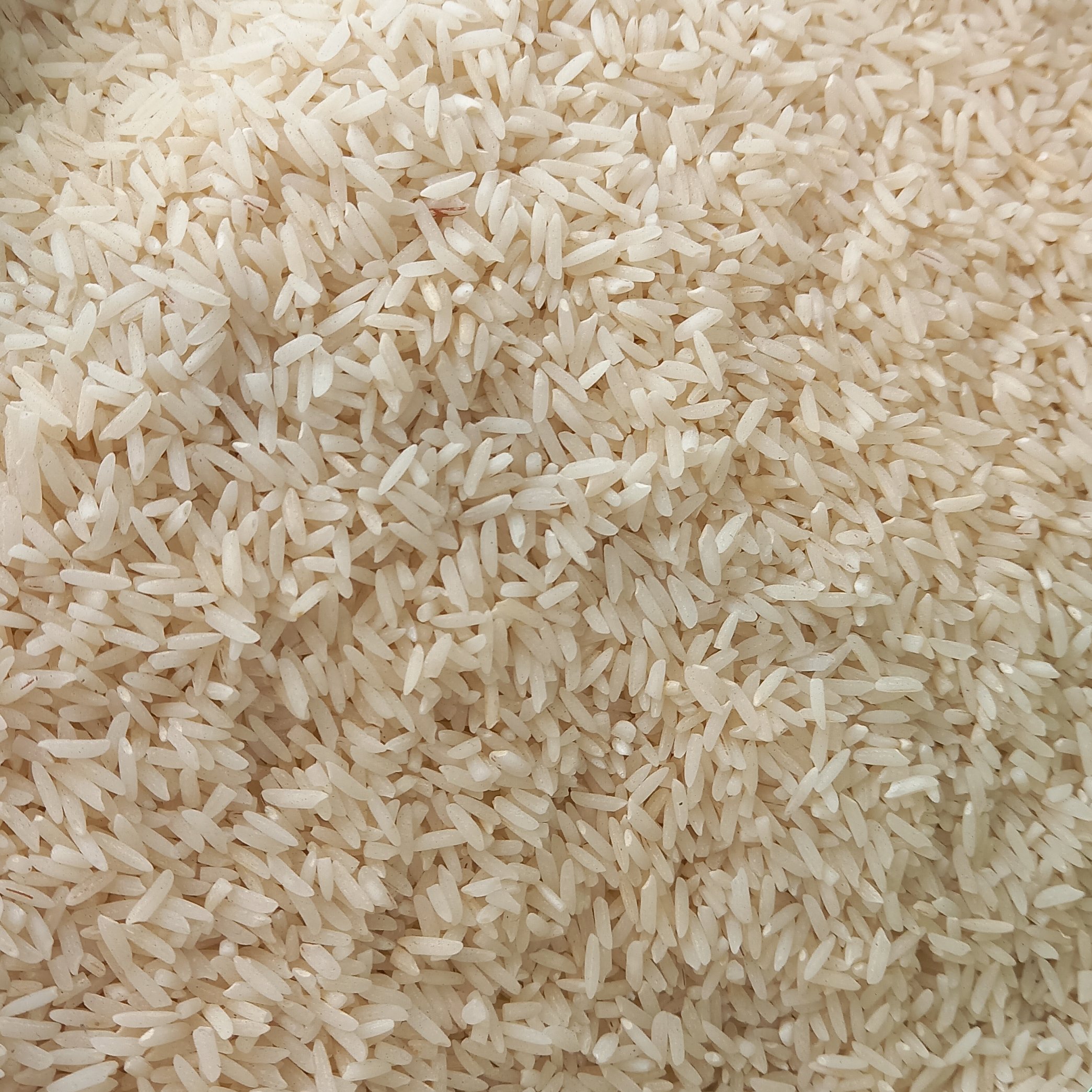 برنج هاشمی خالص و تضمین کیفیت کیسه 10 کیلویی ، رشت ، طب سنتی