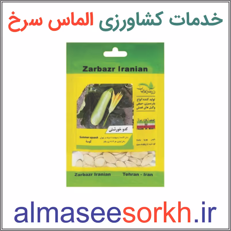 بذر کدو خورشتی زر بذر ایرانیان | گیاه پزشکی الماس سرخ