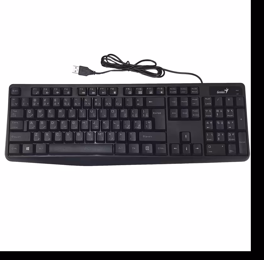 کیبورد سیم دار جنیوس kb 117