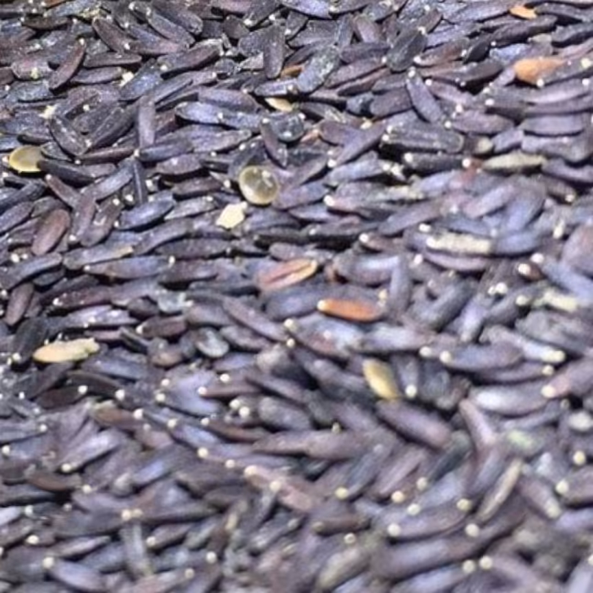 بالنگو 70 گرمی