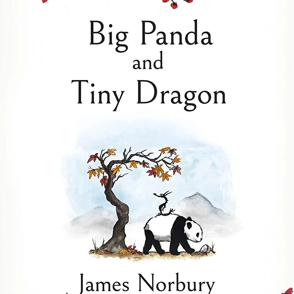 کتاب زبان اصلی Big Panda and Tiny Dragon اثر James Norbury