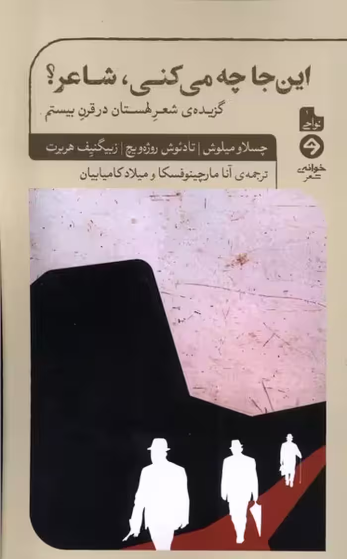 کتاب این جا چه می کنی شاعر خوانه