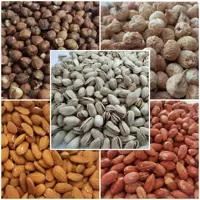 آجیل پنج مغز ممتاز (1 کیلویی) تضمین کیفیت ارسال رایگان
