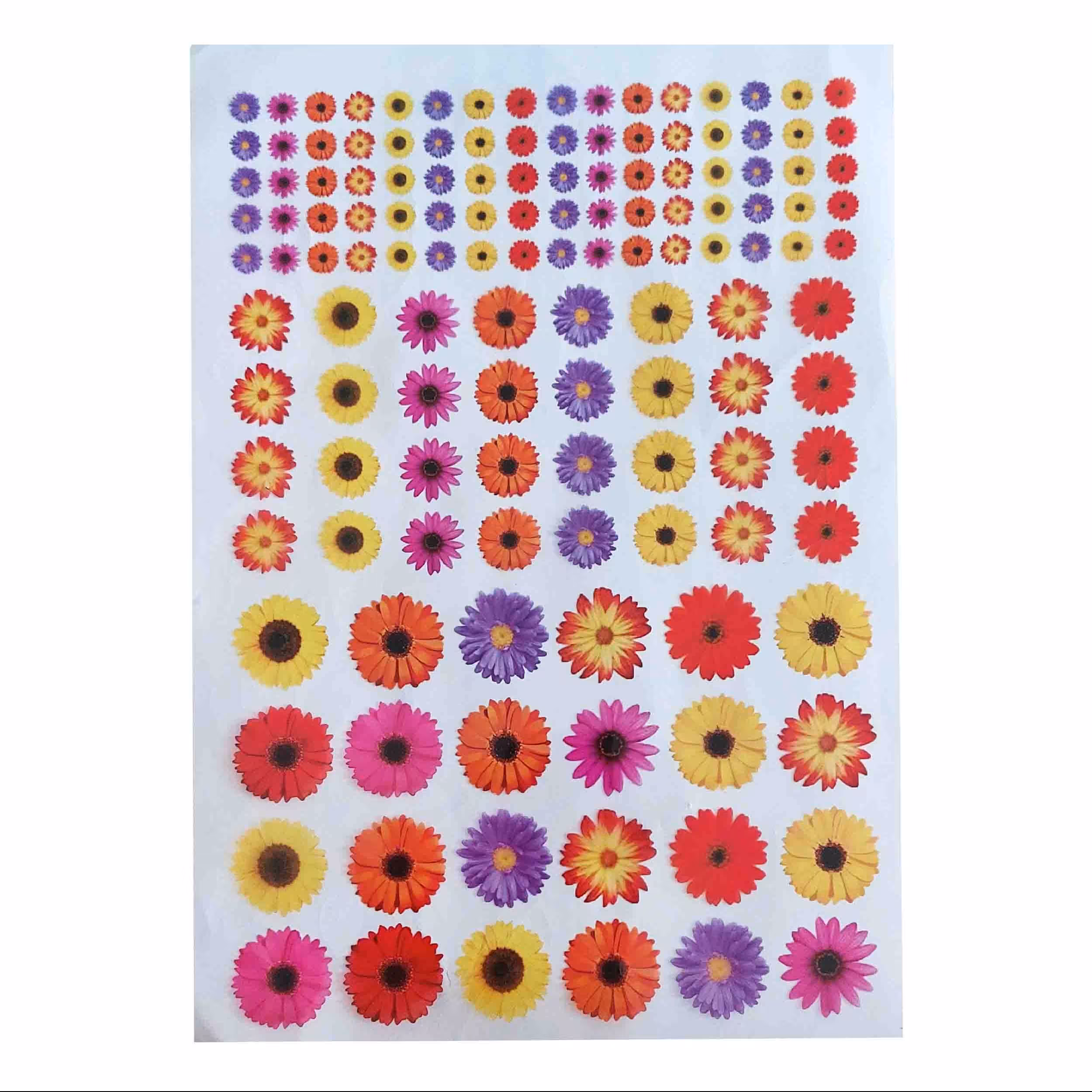 طلق ترنسپرنت یا رزین اپوکسی مدل گل ابعاد 20 در 30 سانتی متر