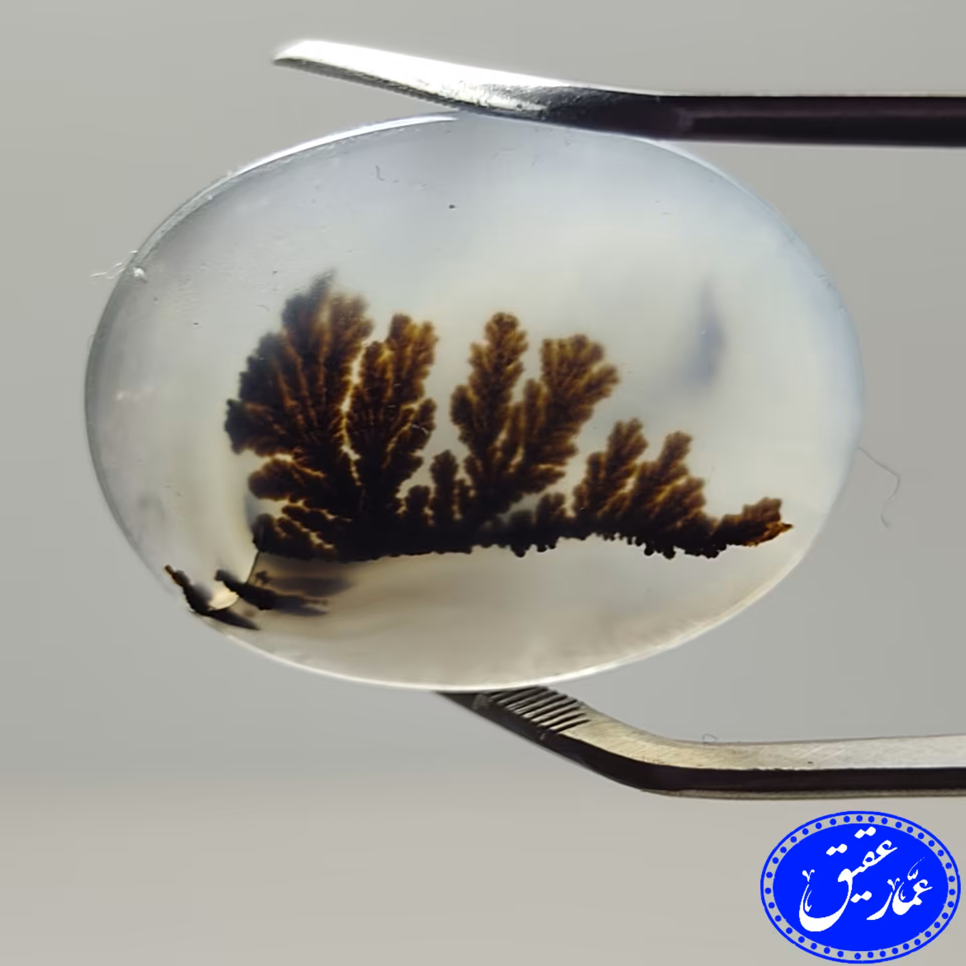 نگین عقیق شجر منظره زمینه سفید و گل قهوه ای