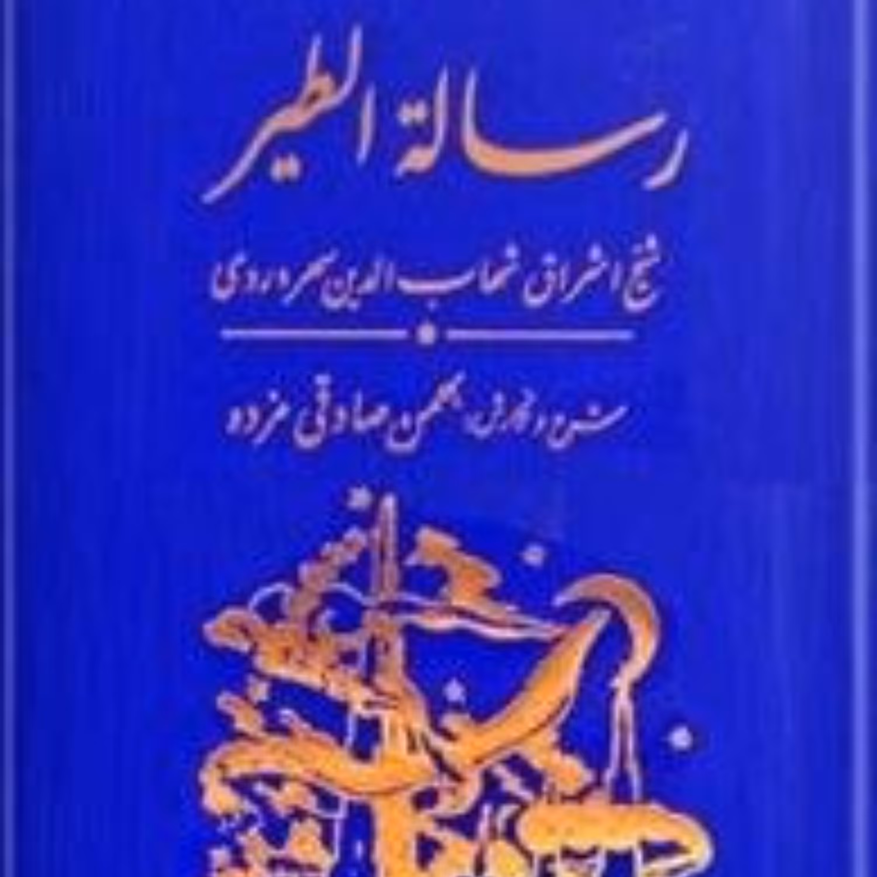 کتاب رساله الطیر (اثر شهاب الدین سهروردی ترجمه بهمن صادقی مزده انتشارات مولی)