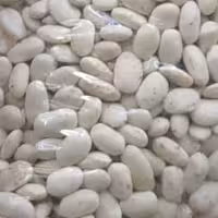 لوبیا سفید، ارسال رایگان همراه با اشانتیون