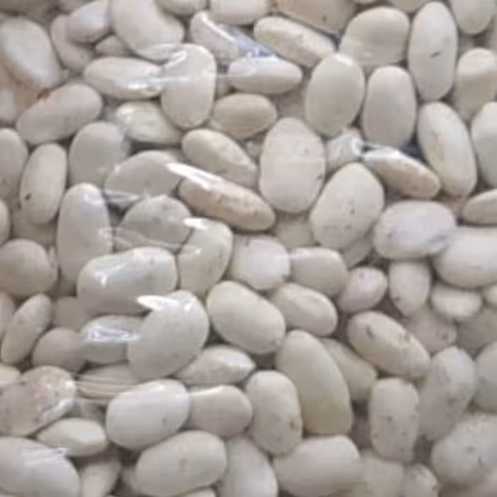 لوبیا سفید، ارسال رایگان همراه با اشانتیون