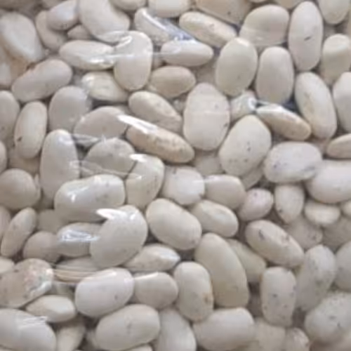 لوبیا سفید، ارسال رایگان همراه با اشانتیون