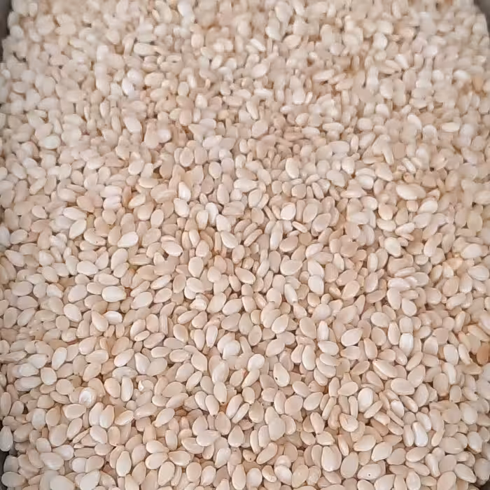 کنجد سفید ایرانی