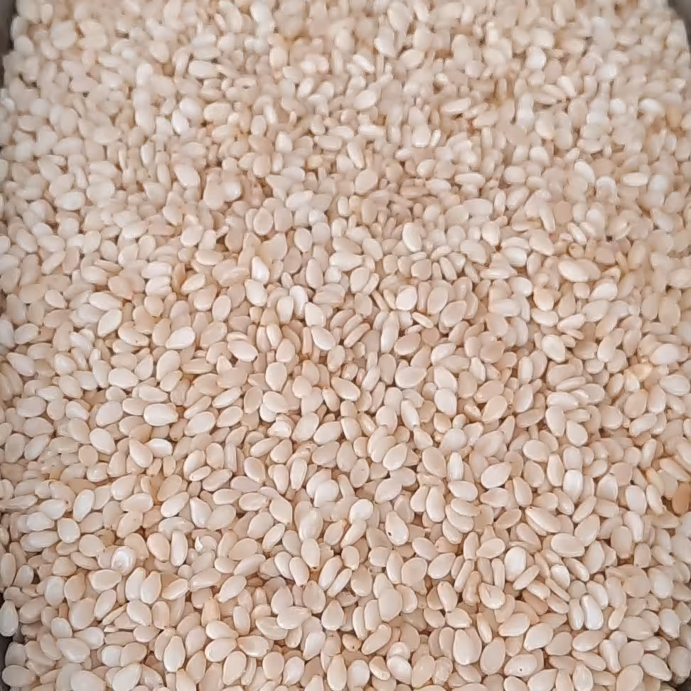 کنجد سفید ایرانی