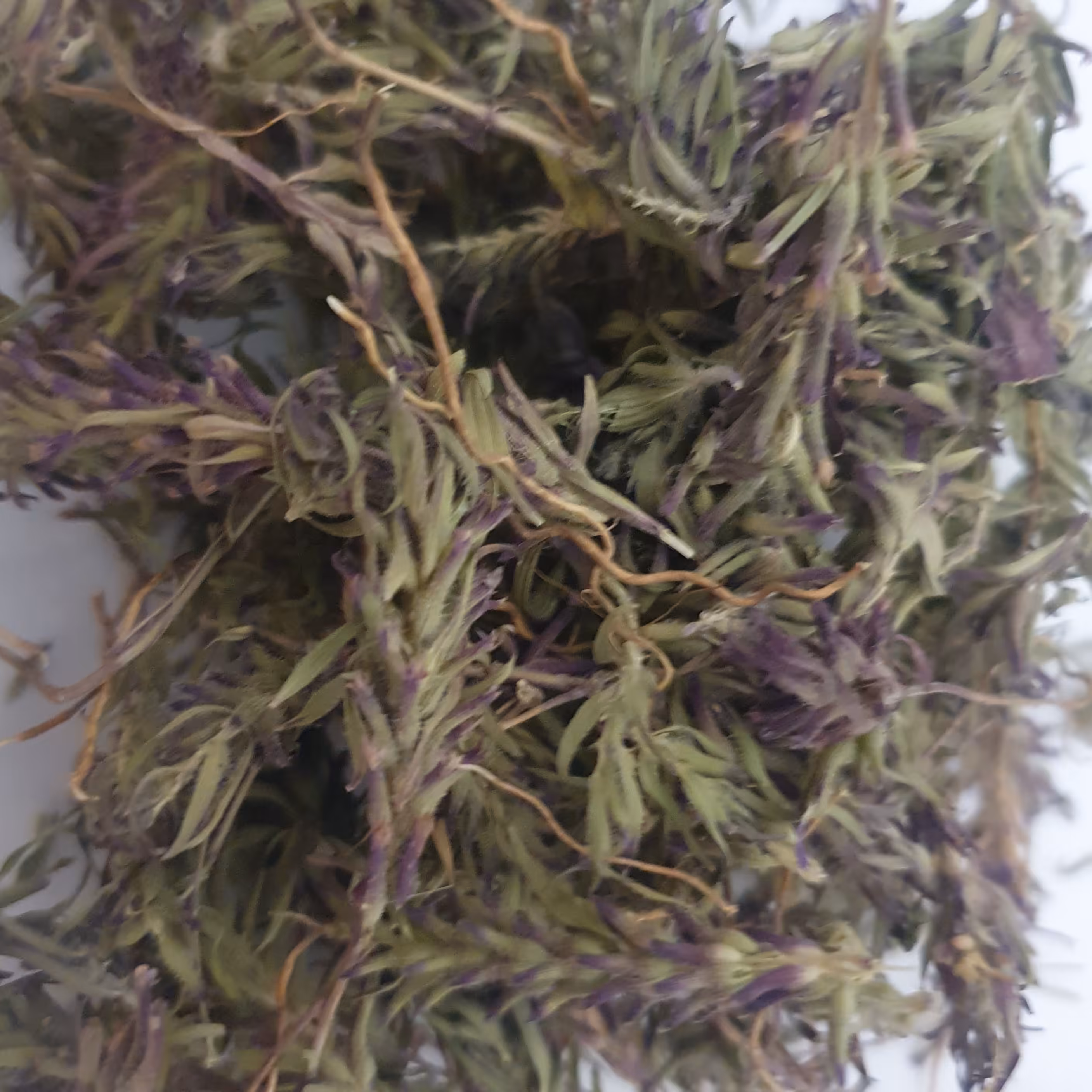 اسطوخودوس عالی 