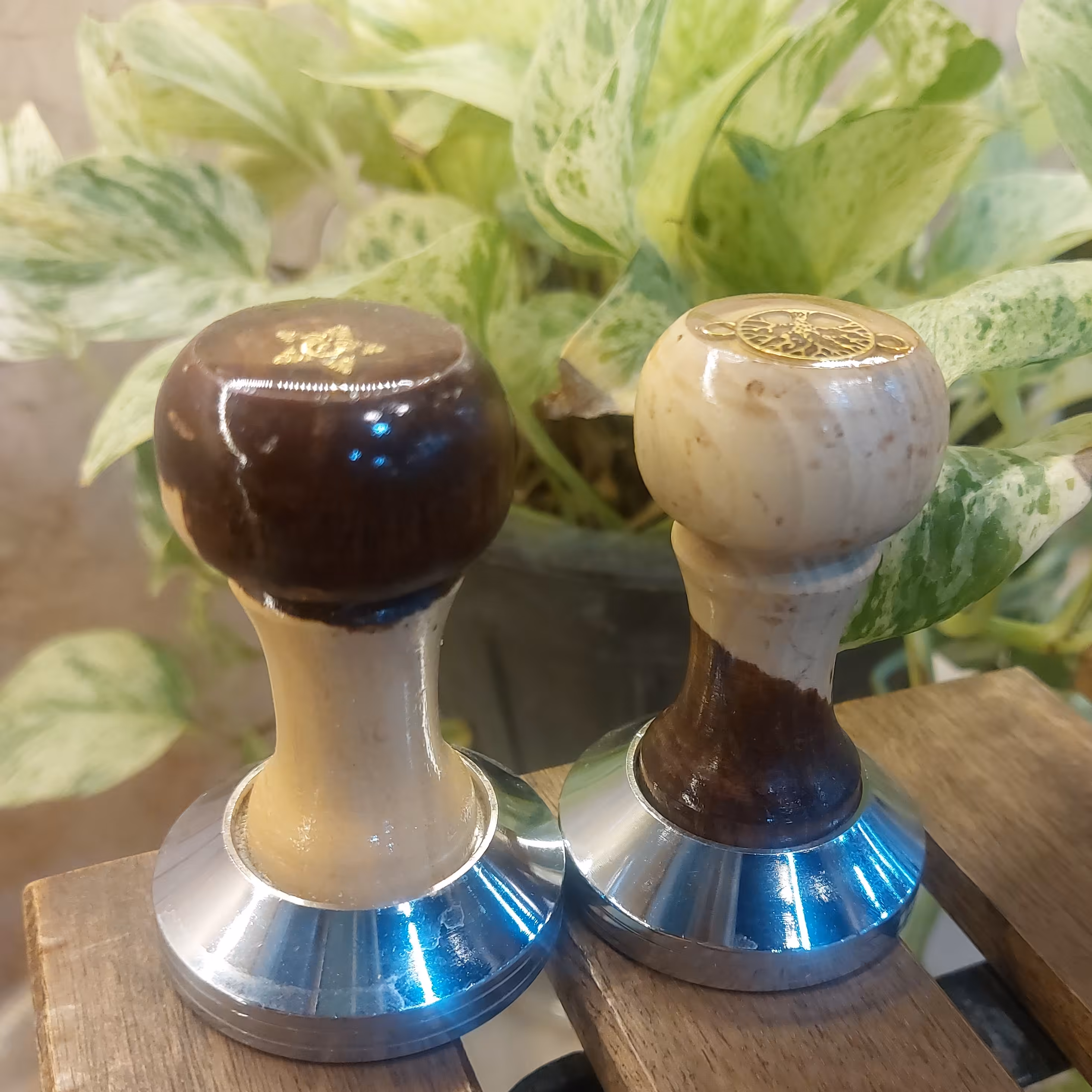 تمپر  شماره 51 دستگاه اسپرسو ساز خانگی خانگی     .وزن 210 گرم .دسته چوبی      .    دورنگ     و تک   رنگ   .             