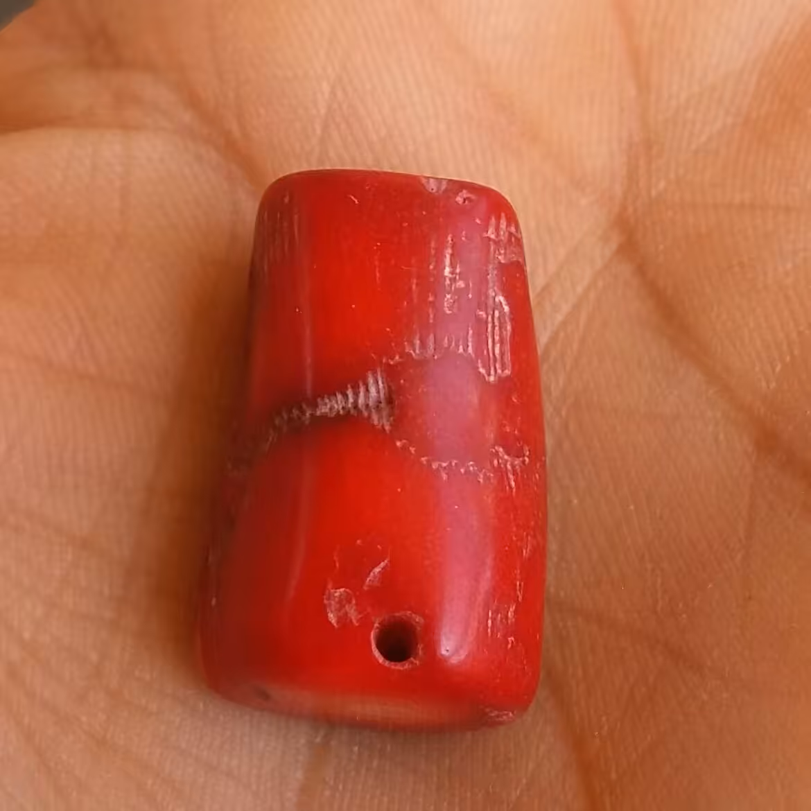 مرجان قرمز (سرخ) مناسب گردنبند صد در صد طبیعی و اصل کد 10737