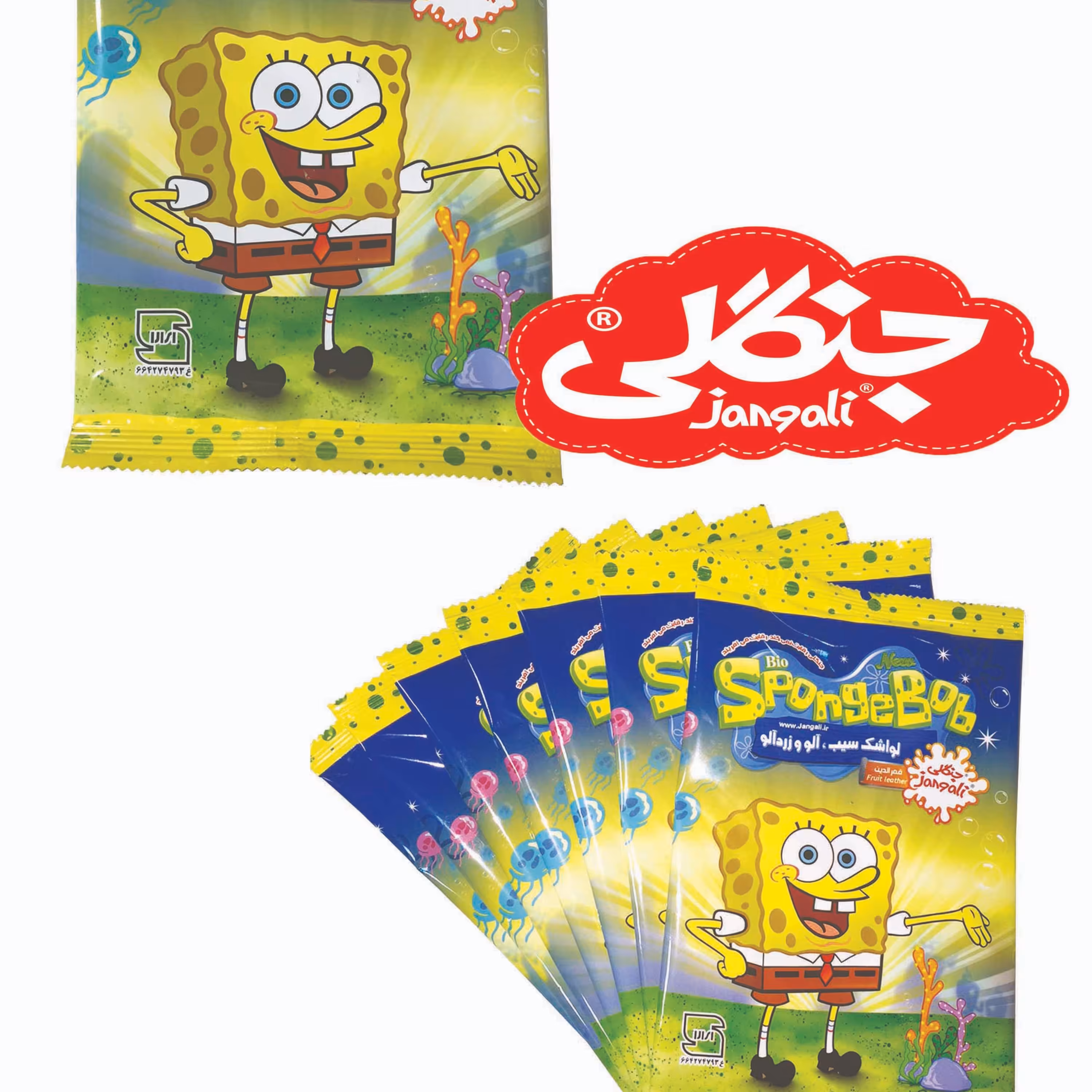 باب اسفنجی جنگلی