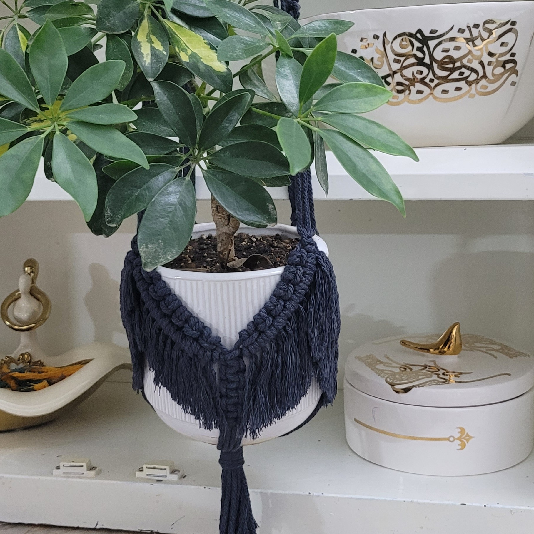 آویز  گلدان، خاص و متفاوت