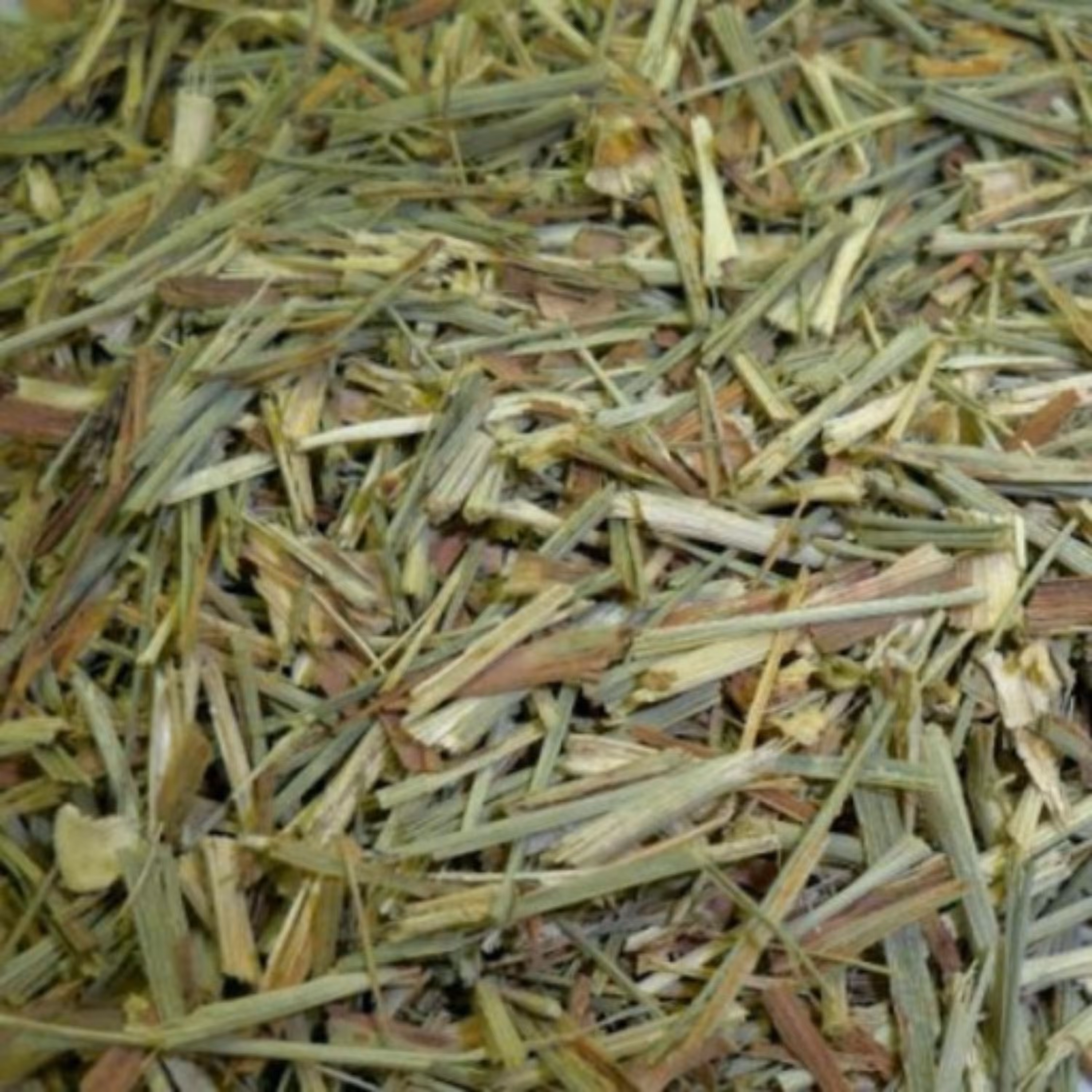 علف لیمو ( لمون گراس)100 گرمی