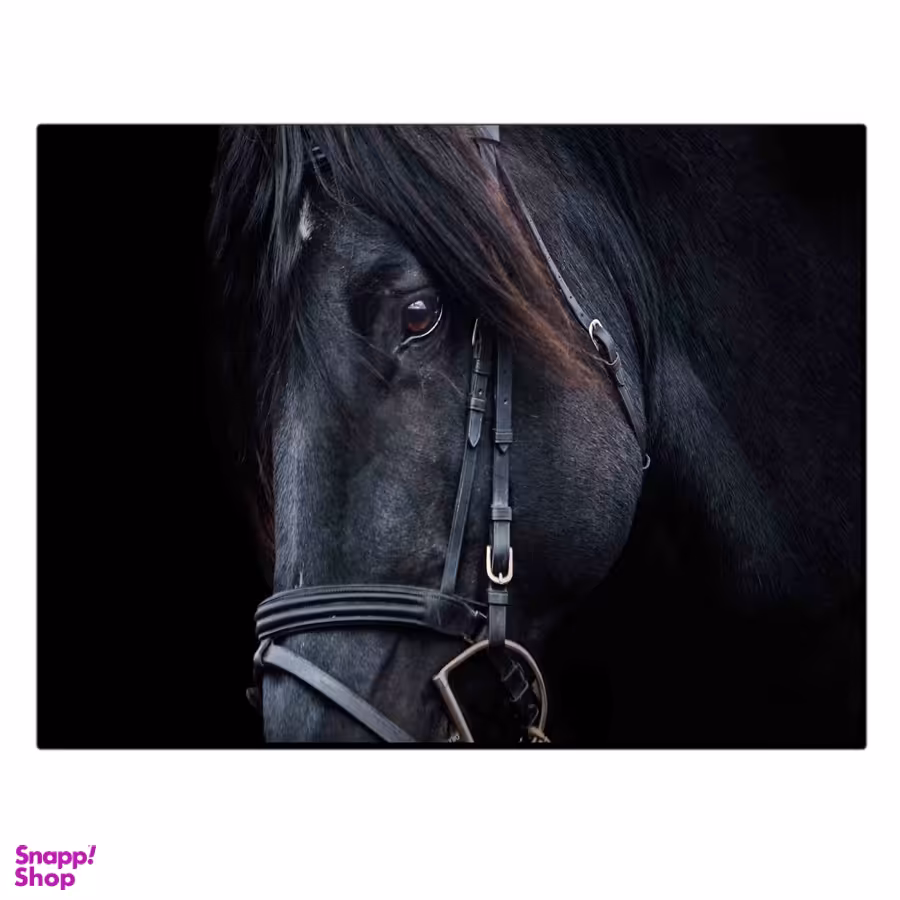 تابلو شاسی بکلیت طرح منظره اسب سیاه مدل SH-11816