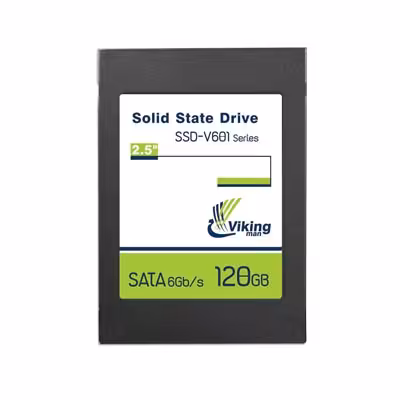 حافظه اس اس دی وایکینگ من مدل وی601 با ظرفیت 120 گیگابایت